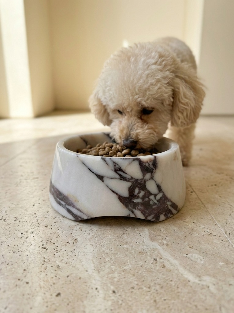 calacatta viola marble pet bowl video product showcase